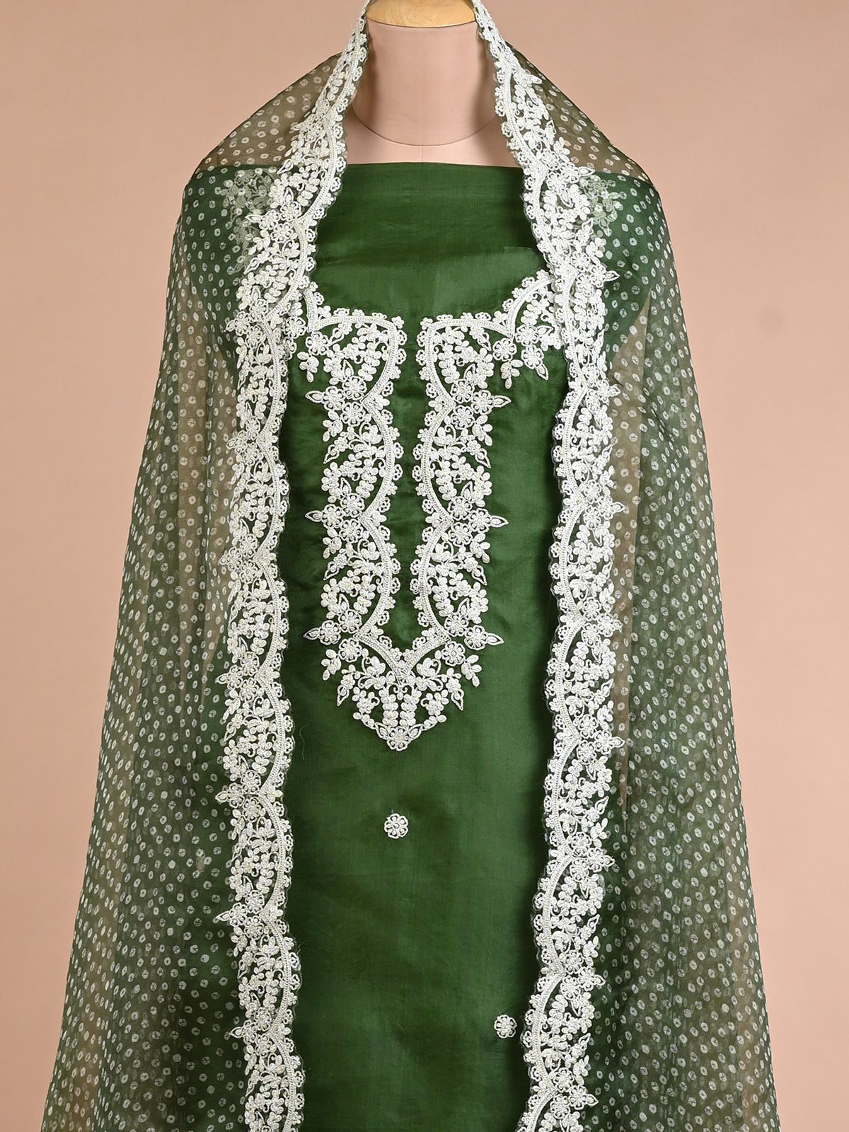 Parsi Embroidered Green Organza Kurta Set - Unstitched