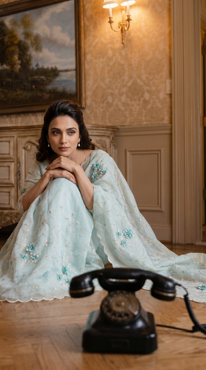 Powder Blue Tissue Organza Saree