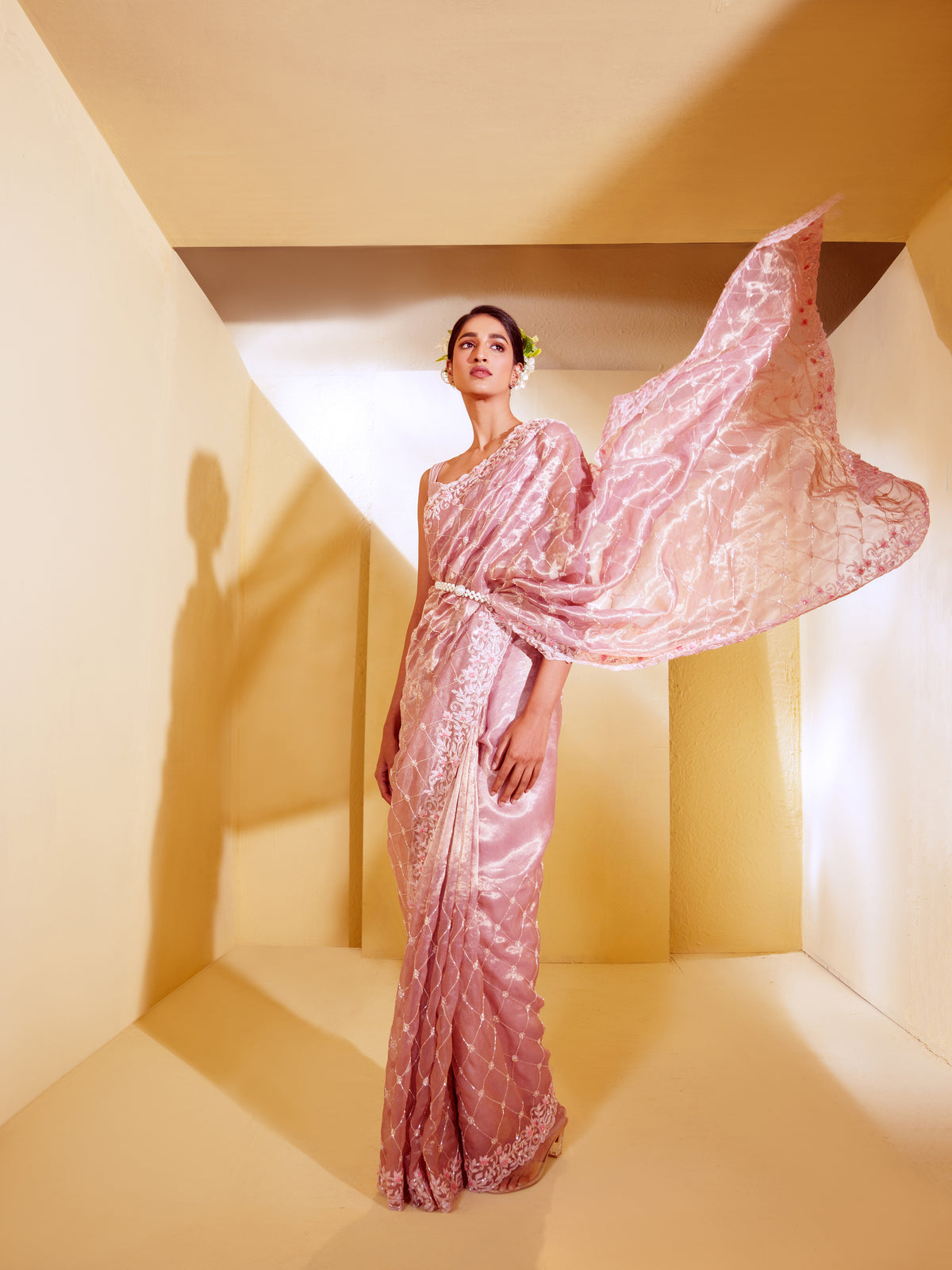 Elinor-Enchanting Petal-Lavender Tissue saree