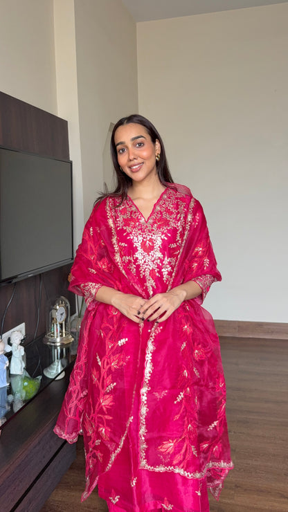 STITCHED RANI PINK APPLIQUE ORGANZA SUIT