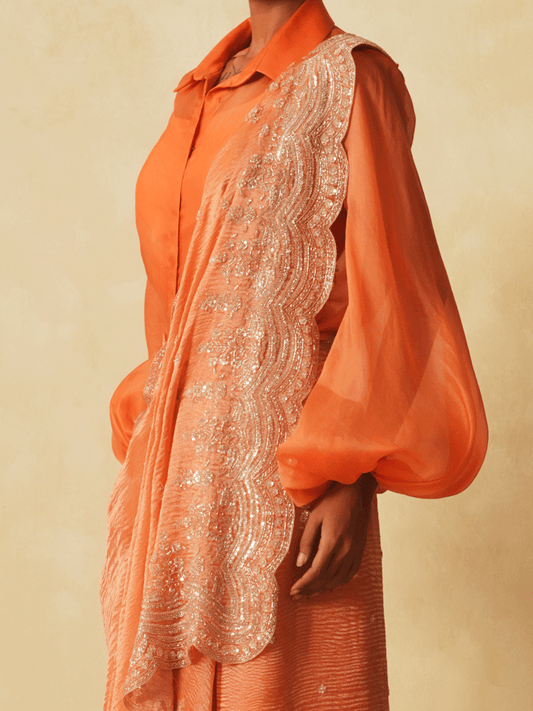 Orange Tissue Saree