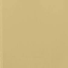 Gold Tissue Organza Saree