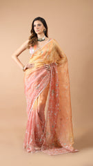 Aisha 2d Colour Combination Organza Saree
