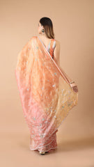 Aisha 2d Colour Combination Organza Saree