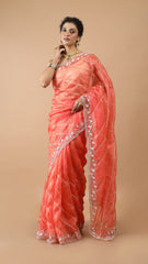 Inaya Tangerine Green Sequin Organza Saree