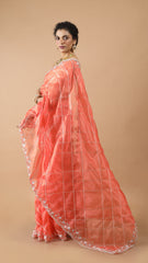 Inaya Tangerine Green Sequin Organza Saree