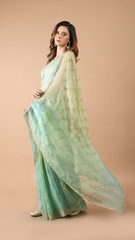 Aisha 4D Organza Saree with Cutdana Detailing 1