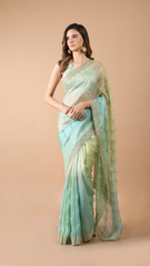 Aisha 4D Organza Saree with Cutdana Detailing 1