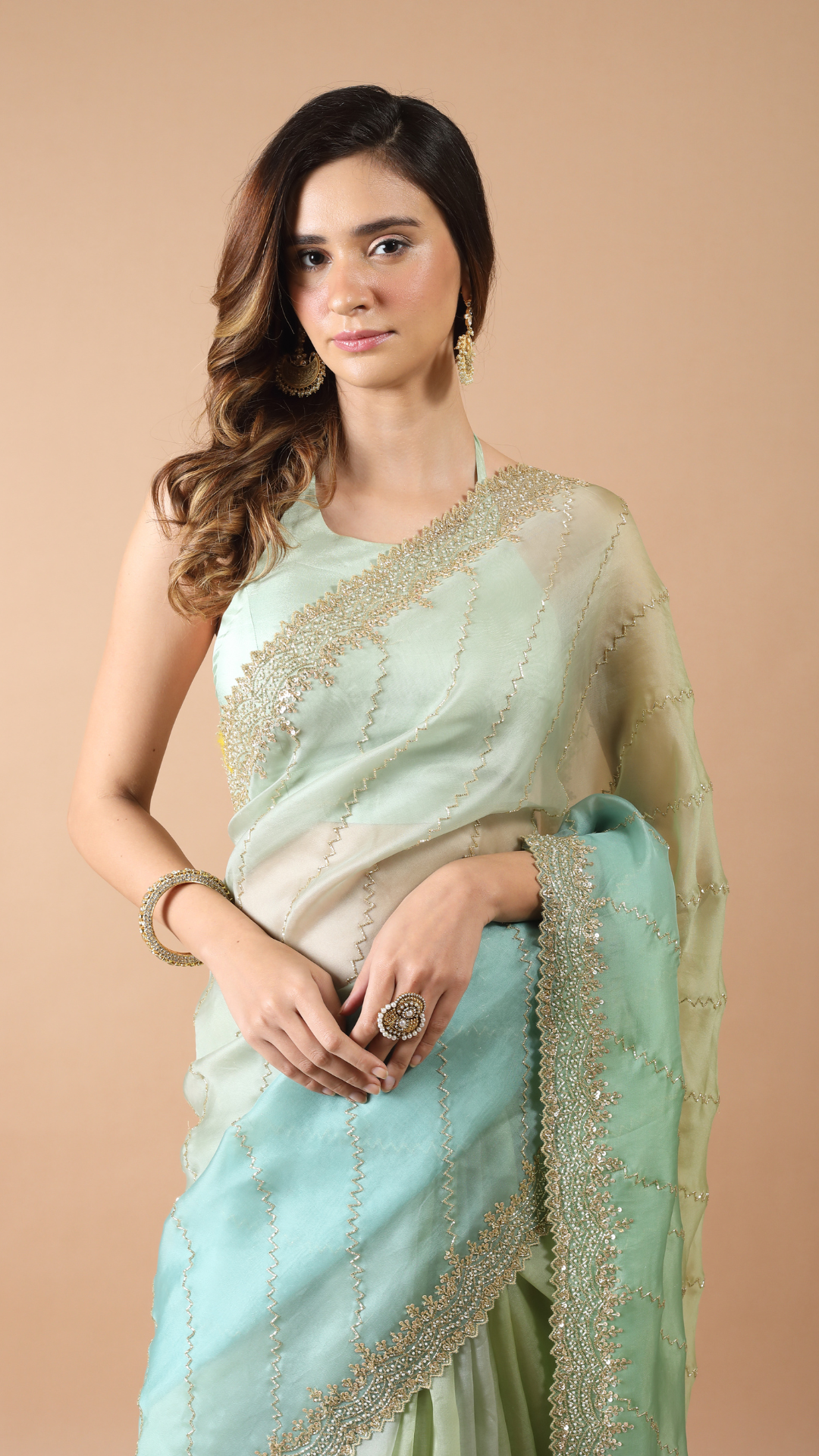 Aisha 4D Organza Saree with Cutdana Detailing 1