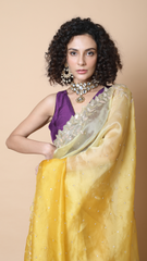 Aisha 4D Designer Saree with Intricate Cutdana Border